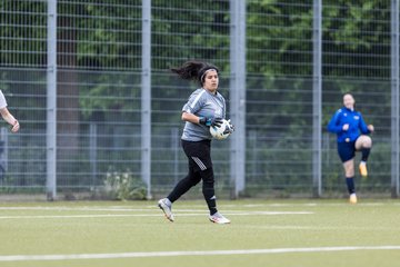 Bild 195 - F SV Eidelstedt - SC Alstertal-Langenhorn : Ergebnis: 2:7